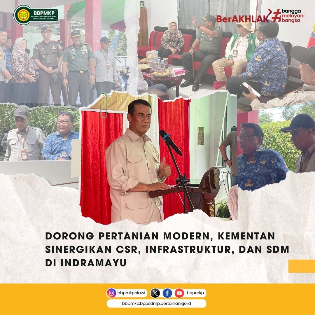 Dorong Pertanian Modern, Kementan Sinergikan CSR, Infrastruktur dan SDM di Indramayu