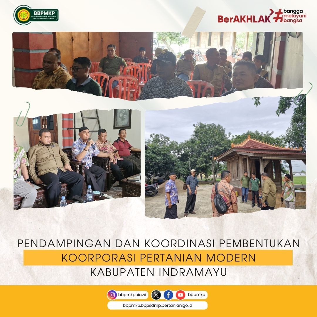 PENDAMPINGAN DAN KOORDINASI PEMBENTUKAN KOORPORASI PERTANIAN MODERN KABUPATEN INDRAMAYU