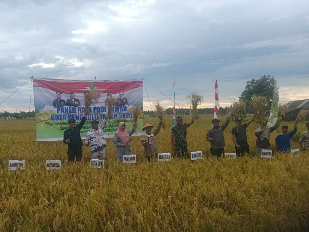  Panen Raya di Bengkulu, Kementan Pastikan Dukungan Nyata untuk Petani 
