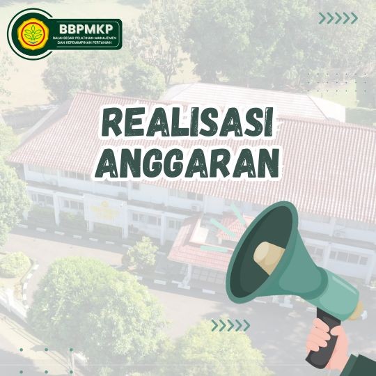 REALISASI ANGGARAN